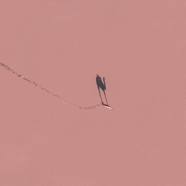 pink sand
