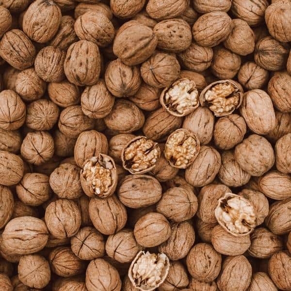 walnut nuts