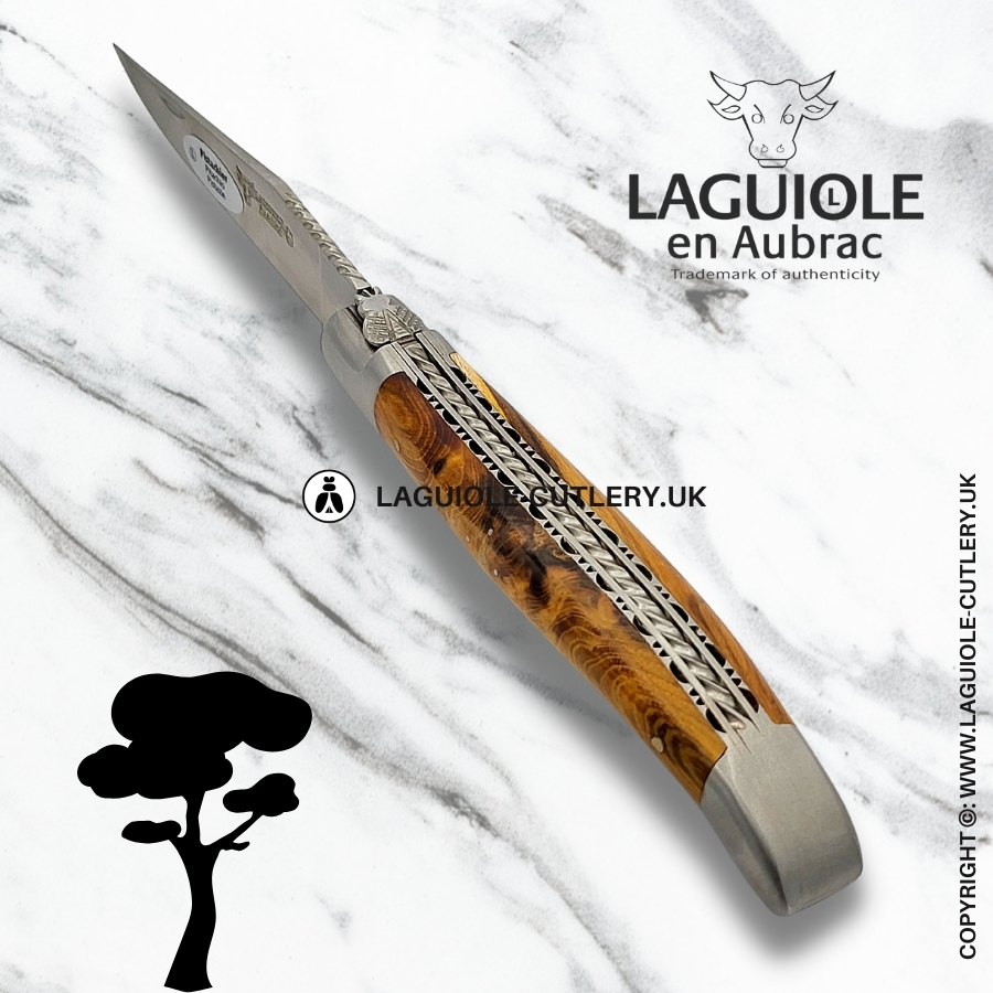 laguiole en aubrac pistachio pocket knife with hand-filed double plates and spiral spring