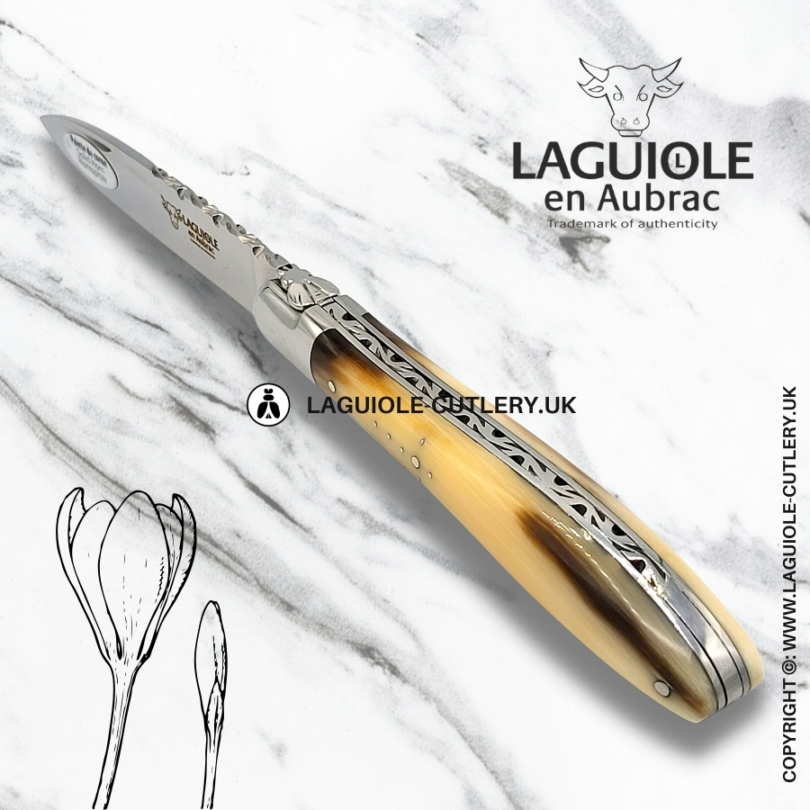 laguiole en aubrac pocket knife crocus zebu horn tip