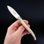 laguiole knife oyster shells