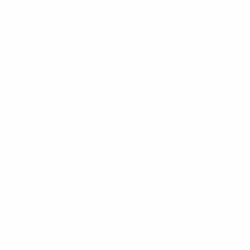 Laguiole Pocket Knives (All)