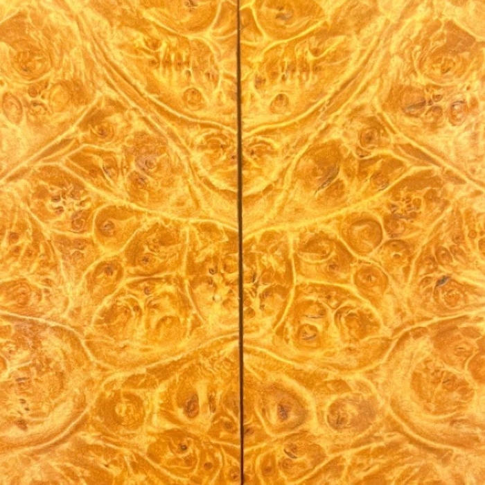 yellow chestnut burl